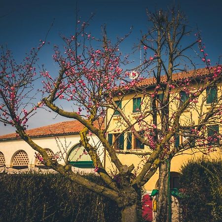 Cessalto Le Vigne Morosina 빌라 외부 사진
