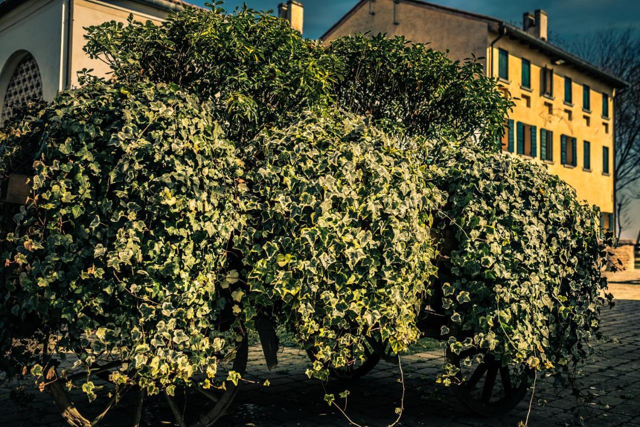 Cessalto Le Vigne Morosina 빌라 외부 사진